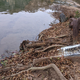 Image for article titled I Found A Car Buried In A Texas Riverbed. Can You Identify It With These Clues?